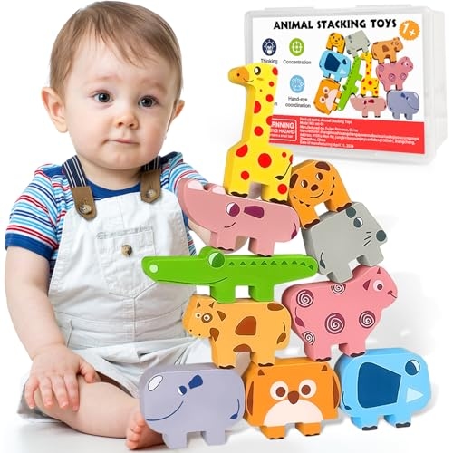Montessori Toys for 1 2 3 4 Year Old Boys Girls