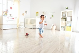 Hape Ladybug Pull-Along Small