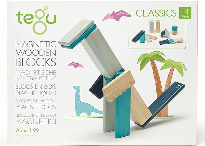 Tegu Magnetic Wooden Blocks